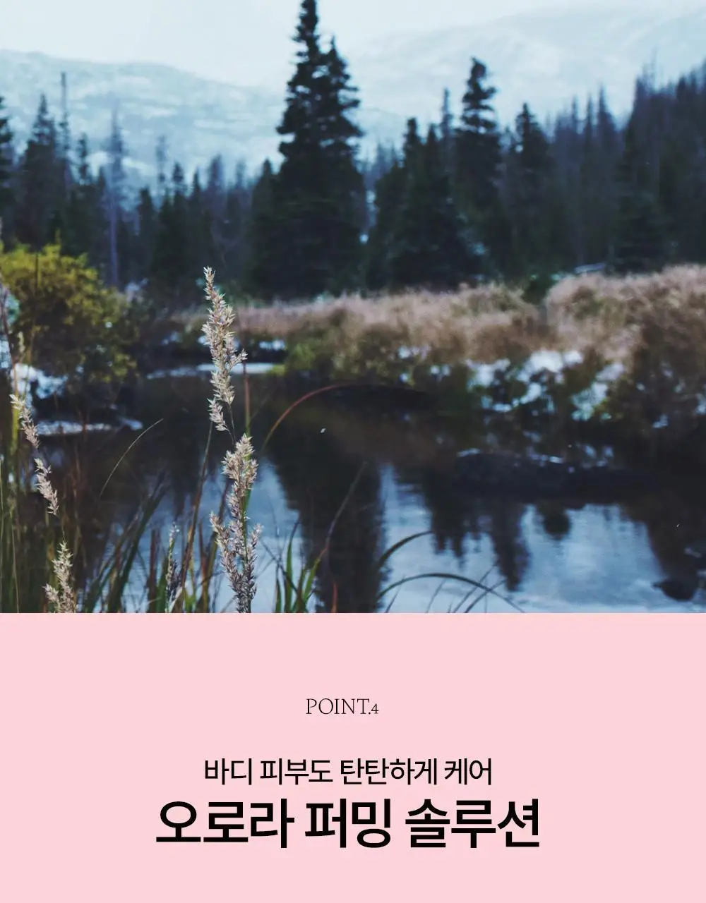 [톤업바디/무화과즙] 토르홉 핑크 오로라 바디로션 250ml 상세페이지 16